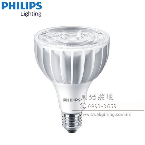 燈胆|燈膽/光源 LED Bulbs 